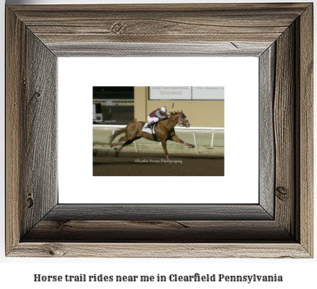 horse trail rides near me in Clearfield, Pennsylvania